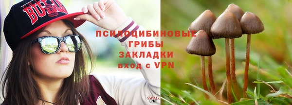 хмурый Лиски