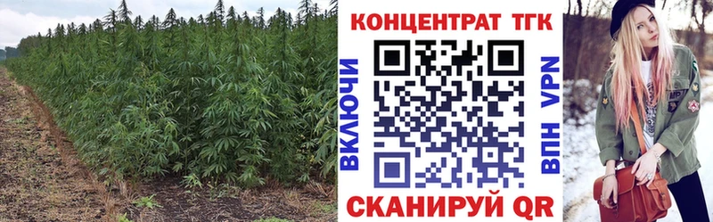 Дистиллят ТГК вейп  Купить закладки  Каменск-Шахтинский 